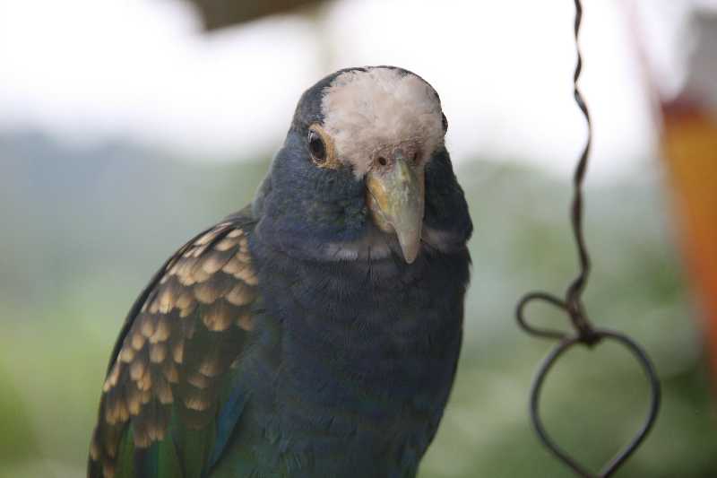 Mexico & Guatemala 2010 - 0322